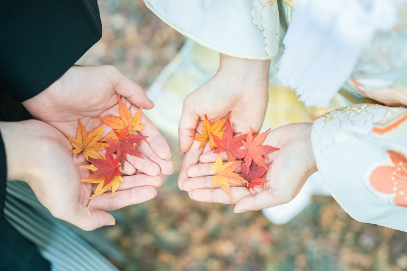 モミジがいっぱい