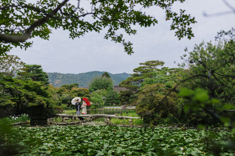 庭の池で