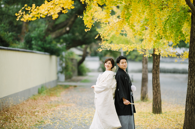 イチョウが色づいてます・