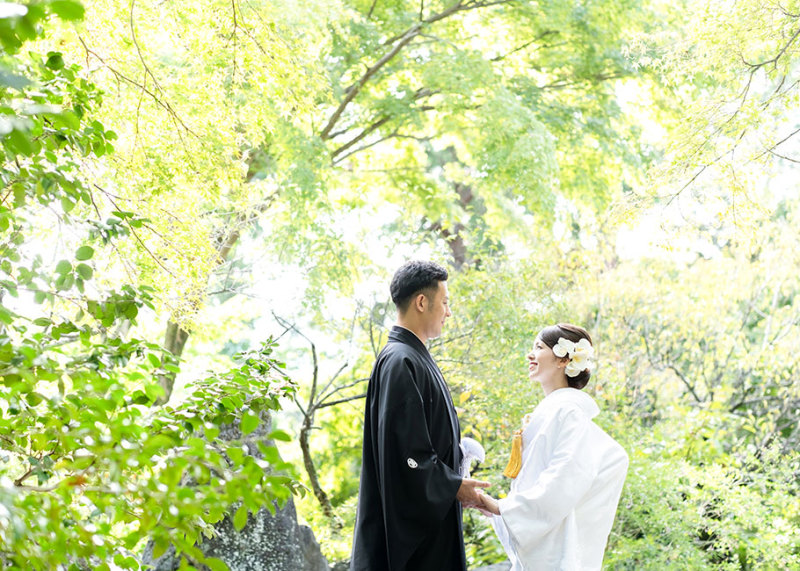 和装と緑の相性は最高です