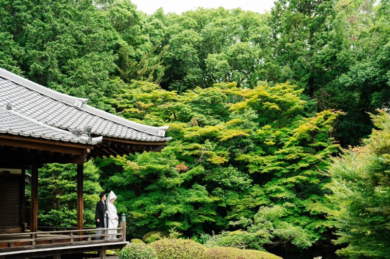 上質な時間、撮影体験