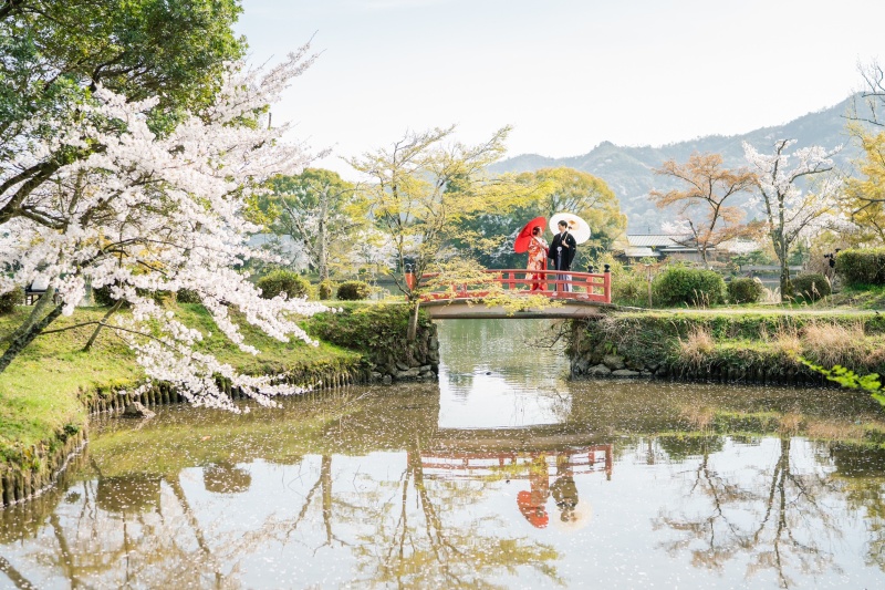 池の周りでも撮影