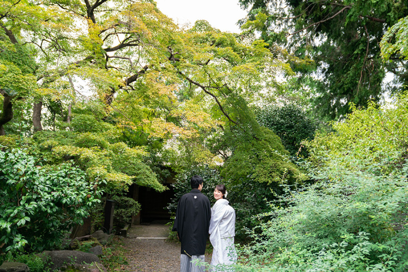 まだまだ緑もたくさん