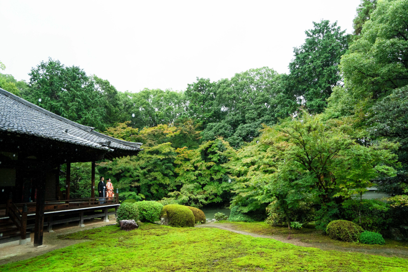 遠目からの写真