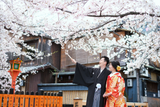 春の桜前撮りをご検討の方へ