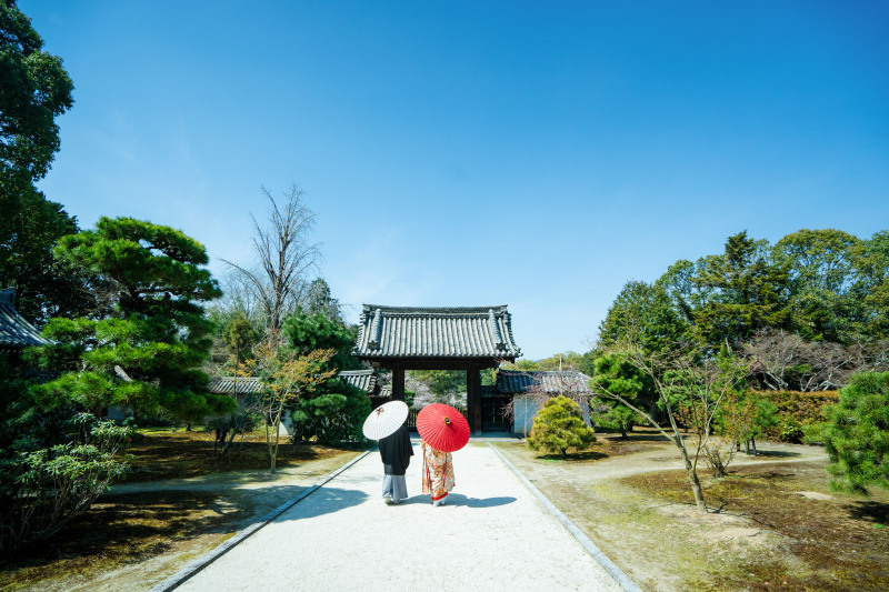 気持ちのいい日