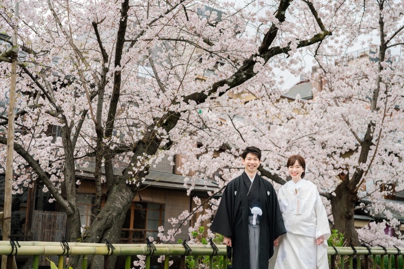 一面の桜を背景に