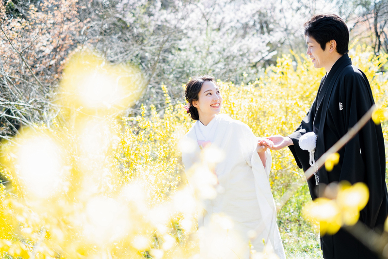 桜だけじゃないです