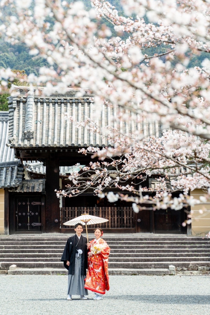 和装姿でお花見