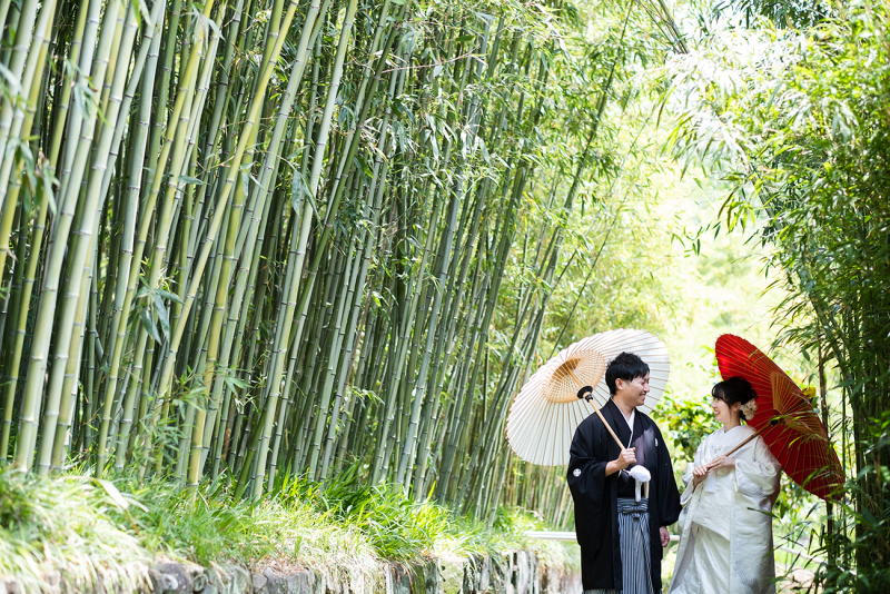 広く大きくイキイキと