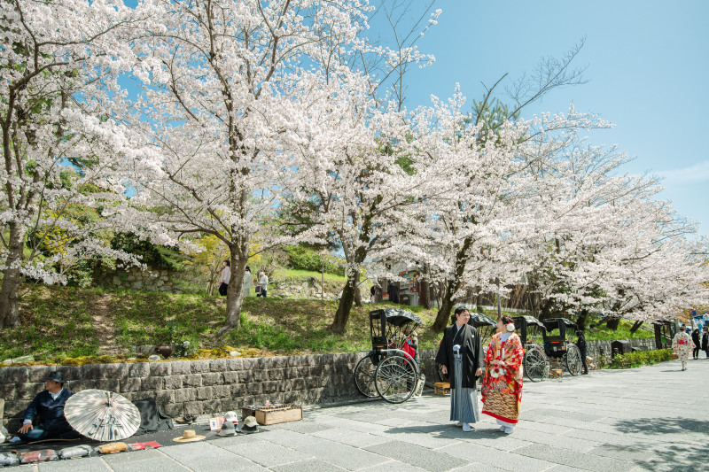 まだまだ桜満開です！