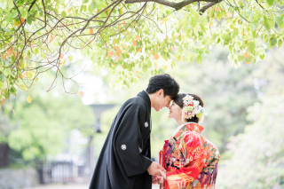 緑豊かな5月初旬