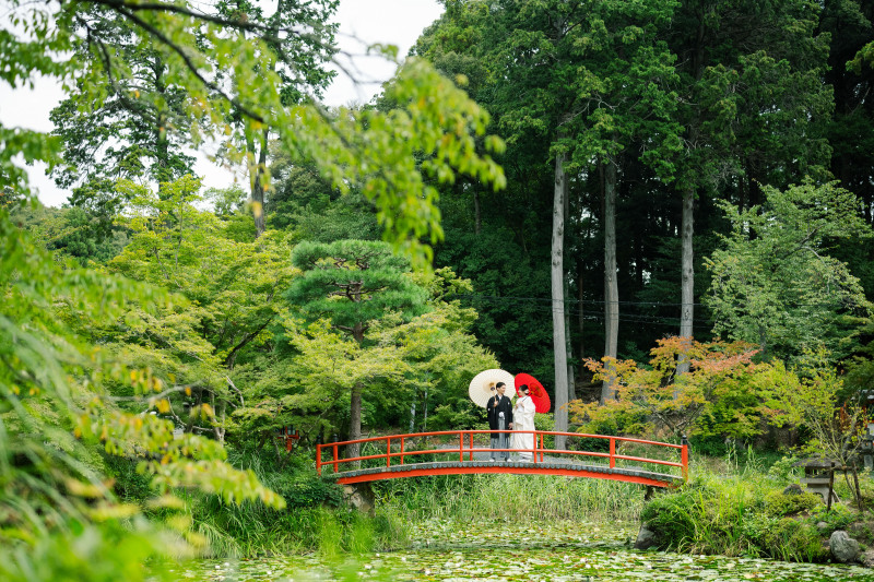 緑に囲まれた神社