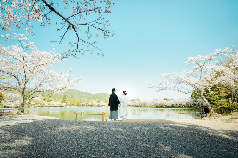 どこにいっても桜！