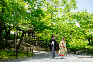 艶やかな若葉〜東福寺〜