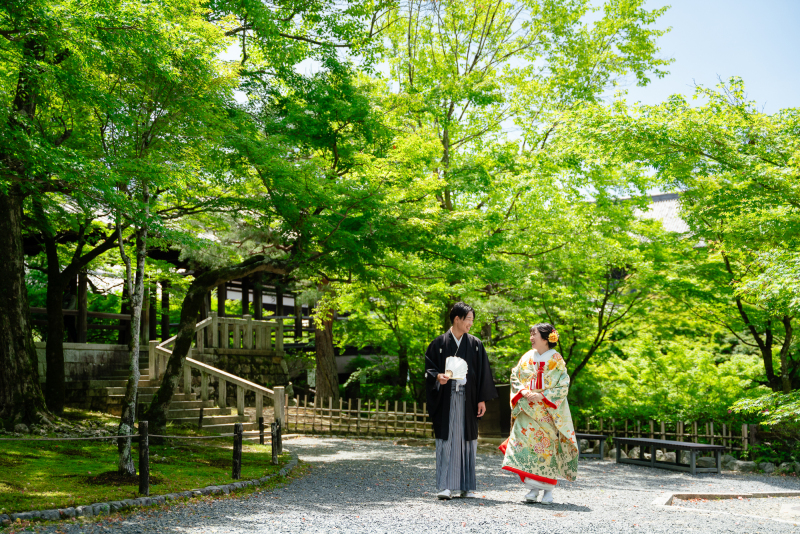 艶やかな若葉〜東福寺〜