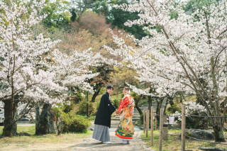 円山公園と大覚寺で衣装2着