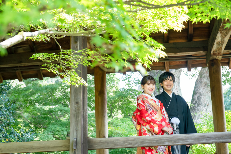 青紅葉が生き生きとしています