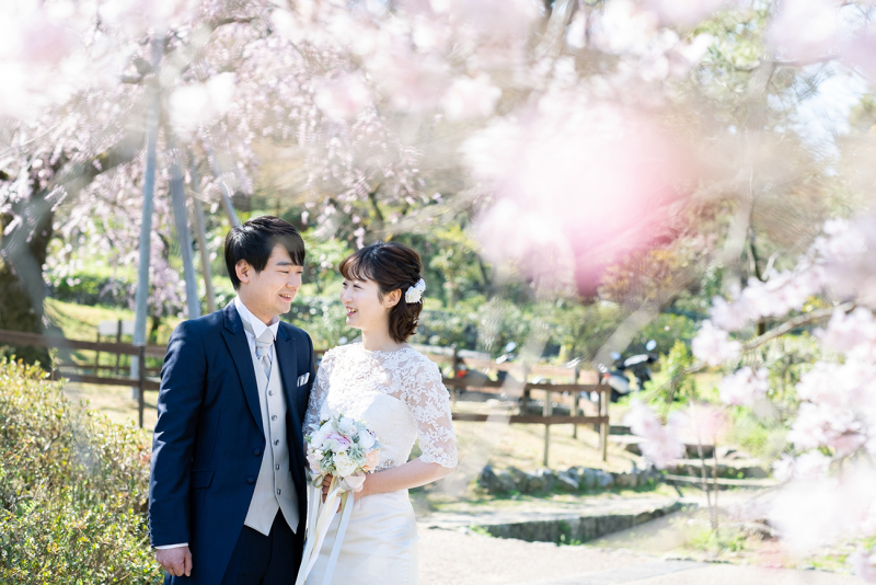 人気の桜前撮り