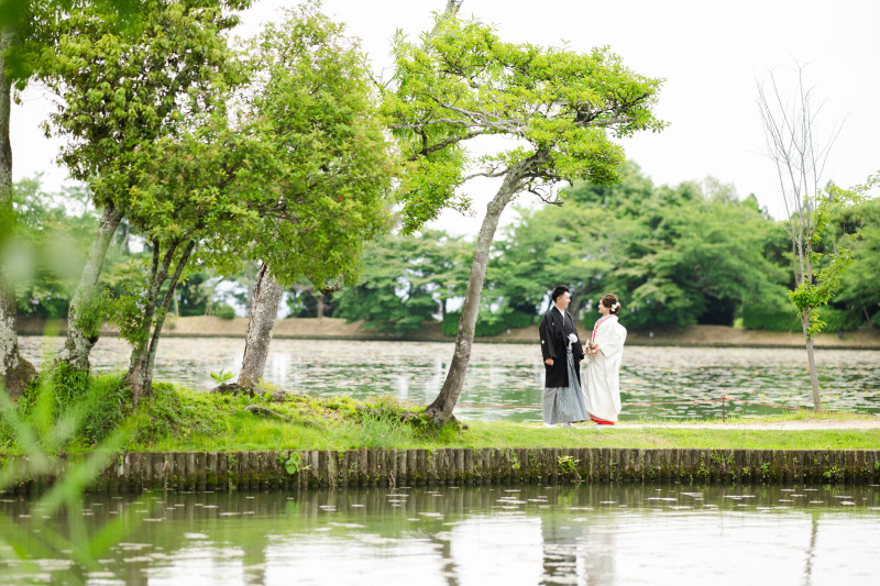 池のあるロケーション