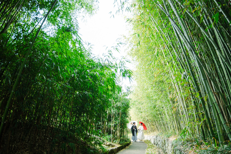 竹林で前撮り