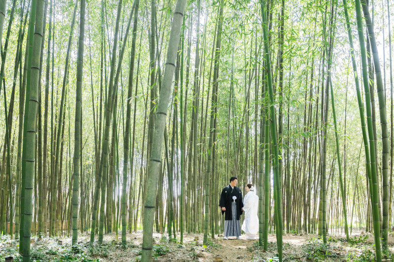 静けさと楽しさと