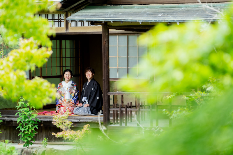 緑の綺麗な時期