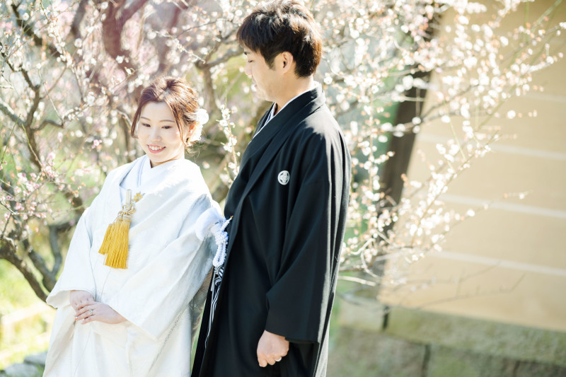 梅がありました