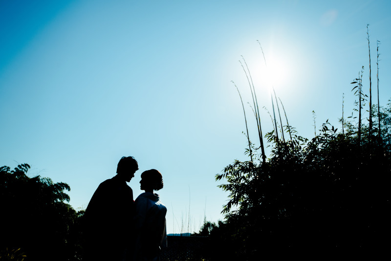 シルエット写真