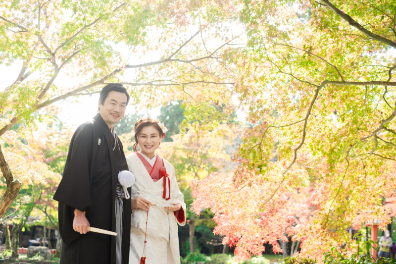 紅葉人気急上昇中