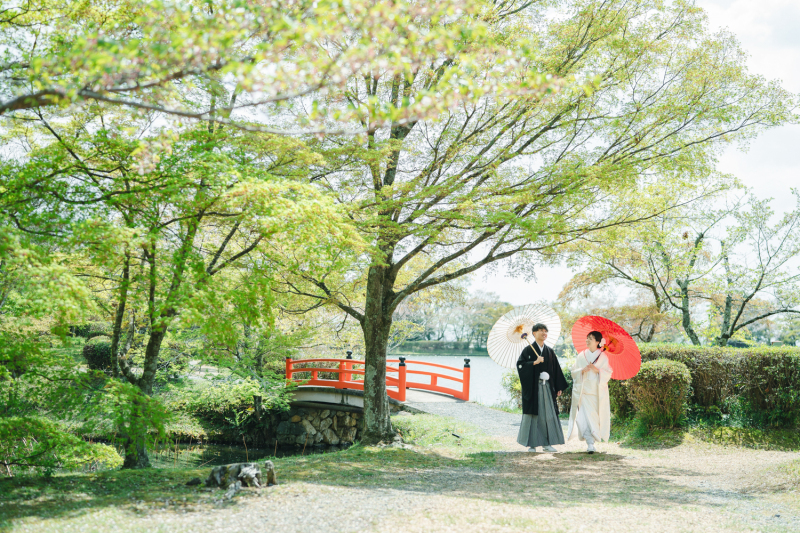 大覚寺の桜