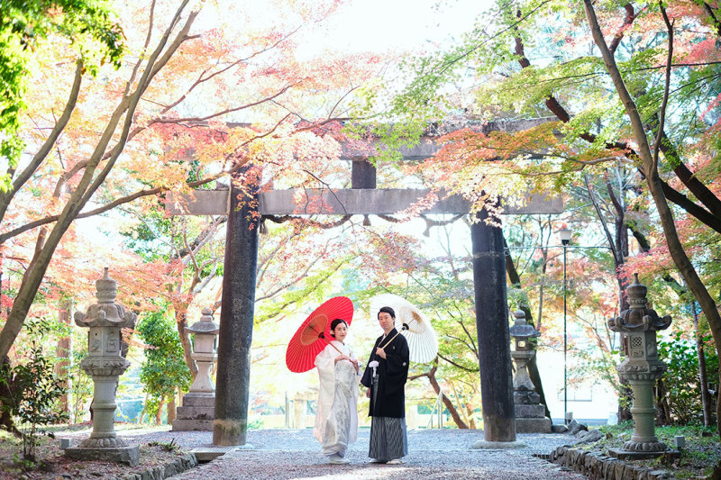 今からでも来年の紅葉は狙い目かもです