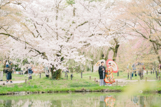 桜の前撮り予約受付中
