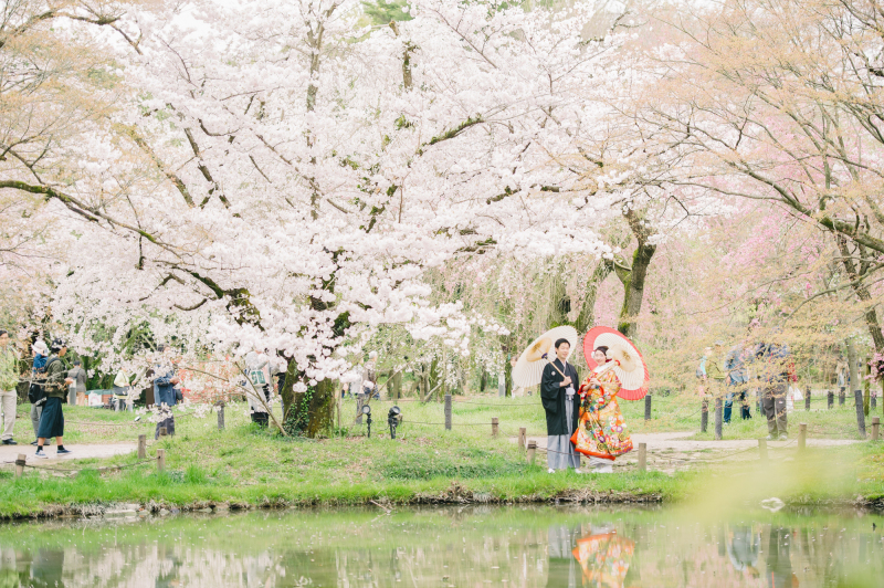 桜の前撮り予約受付中