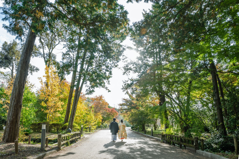 イメージショット