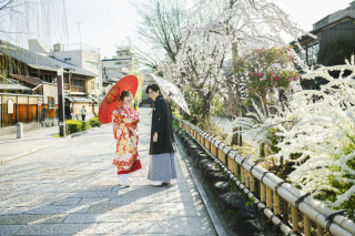 春のお知らせ（サンシュユ）