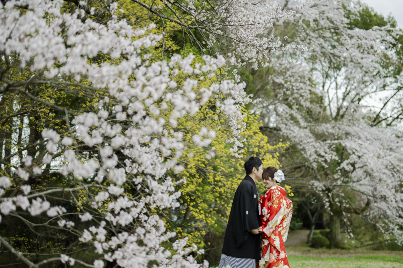 大覚寺で桜前撮り