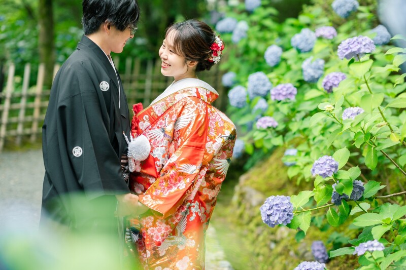 しとやかあじさい東福寺