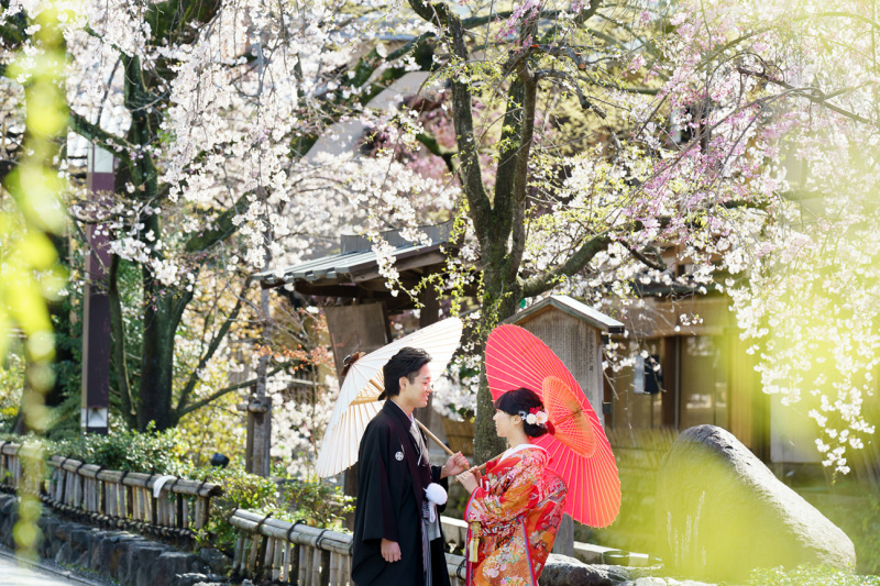 緑の葉も増えてきました。