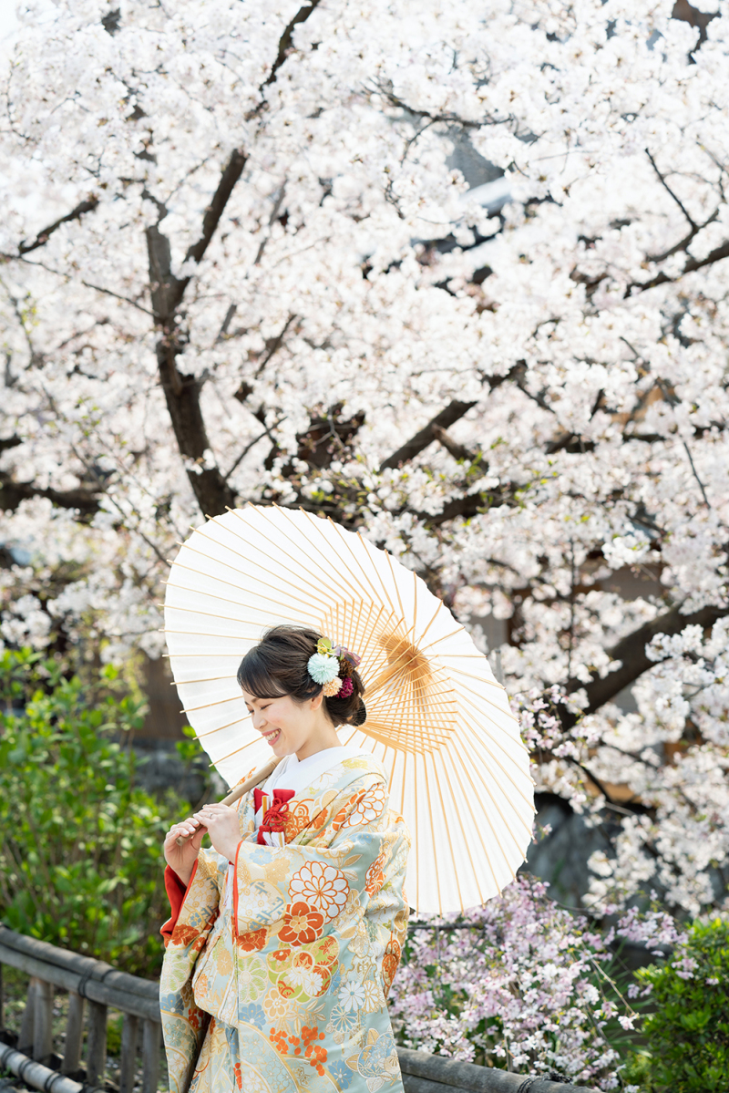 和傘と桜