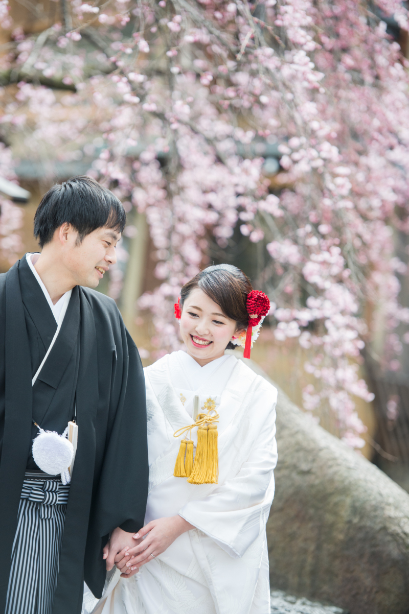 プレミアムプラン