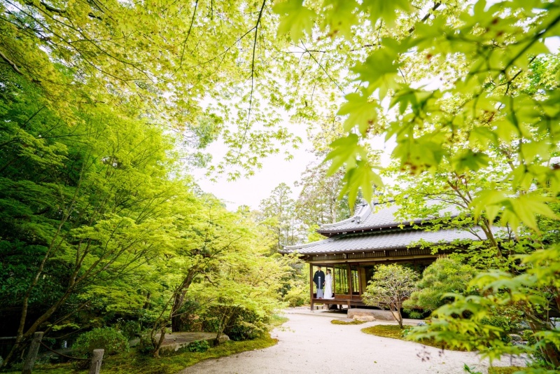 若葉から新緑へ