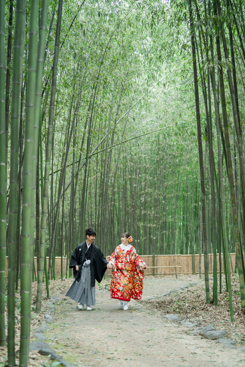 竹林もあります