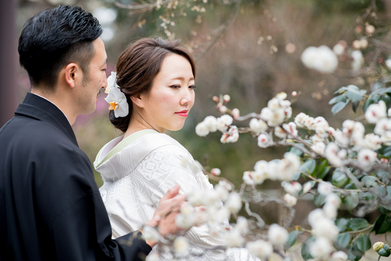 花を見て四季を感じる、京都の景色