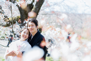 人気の桜シーズンのご紹介