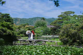 白無垢で梅宮大社
