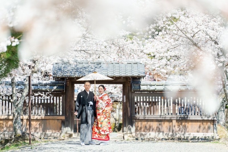 桜満開の大覚寺にて