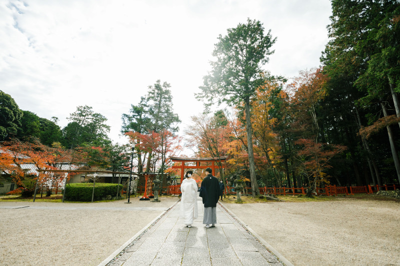 イメージショット