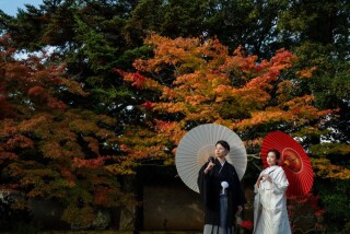 寺院と祇園で撮影