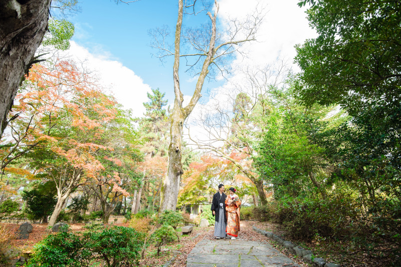 広いロケーション